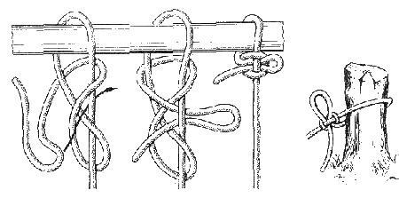 Курьерский узел