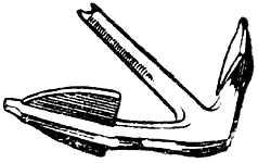 Форма рогов и лап уральского якоря