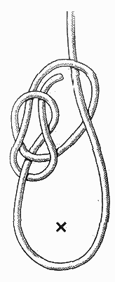 Бегущий булинь