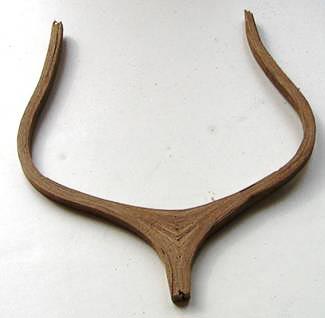 Модель корабля Royal Caroline. Острые шпангоуты