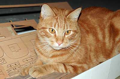 HMS Victory фирмы Mantua. Часть 2 09_01