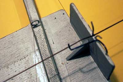 Зона клетневания