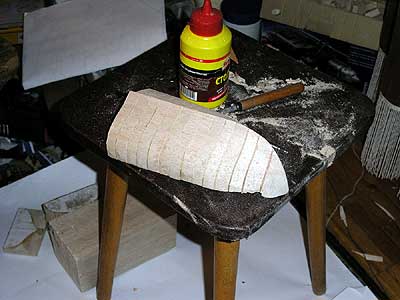 Носовая часть