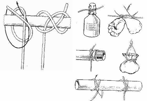Констриктор Констриктор