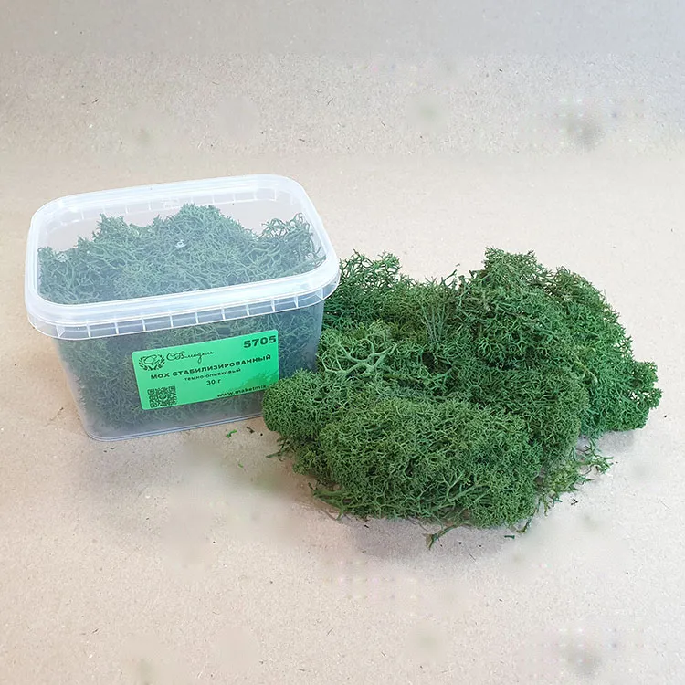 Мох стабилизированный, темно-оливковый (30 г.)