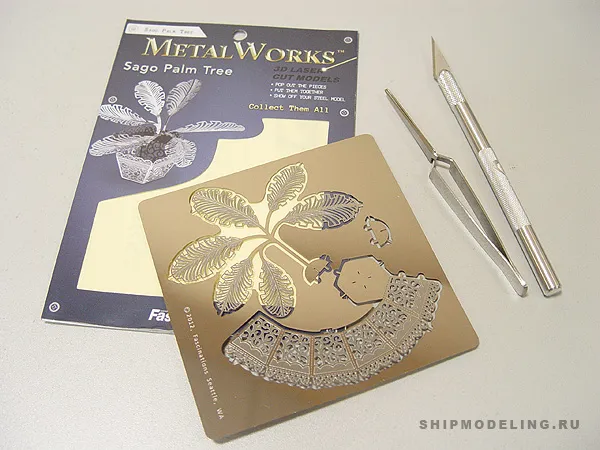 Пальма Sago Пальма Sago