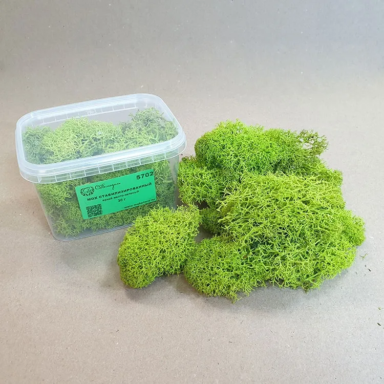 Мох стабилизированный, яркий желто-зеленый (30 г.)