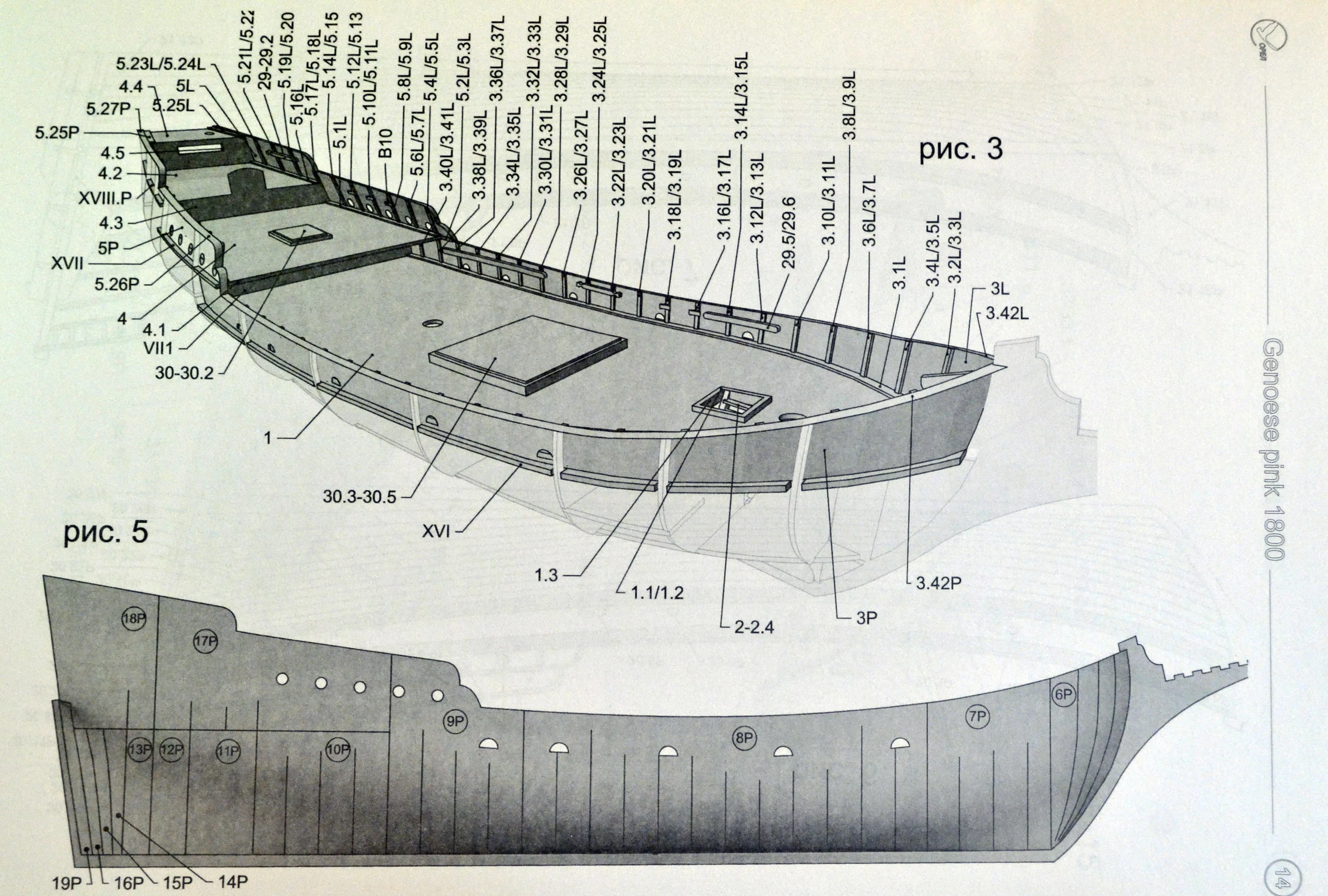 Модель из бумаги генуэзский пинк Модель из бумаги генуэзский пинк