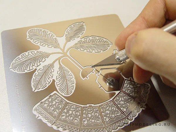 Пальма Sago Пальма Sago