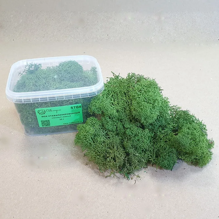 Мох стабилизированный, кленовый зеленый (30 г.)