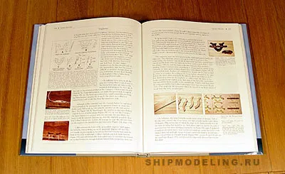 VALKENISSE Retourschip of 1717 VALKENISSE Retourschip of 1717