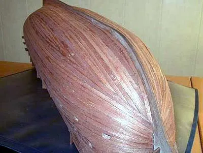 Обшивка SOVEREIGN OF THE SEAS