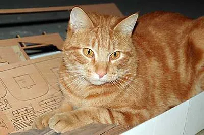 HMS Victory фирмы Mantua. Часть 2 09_01